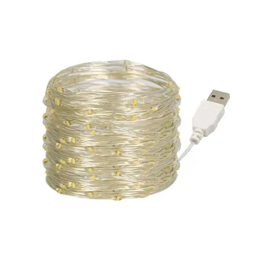 30M 10M Waterproof USB LED Lights String Copper Wire Fairy Garland