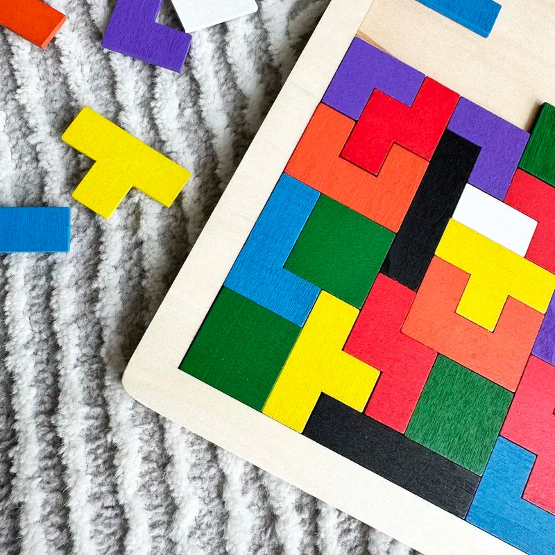 Montessori Wooden Puzzle Toy, Brain Teaser Logic Game for Kids, Early