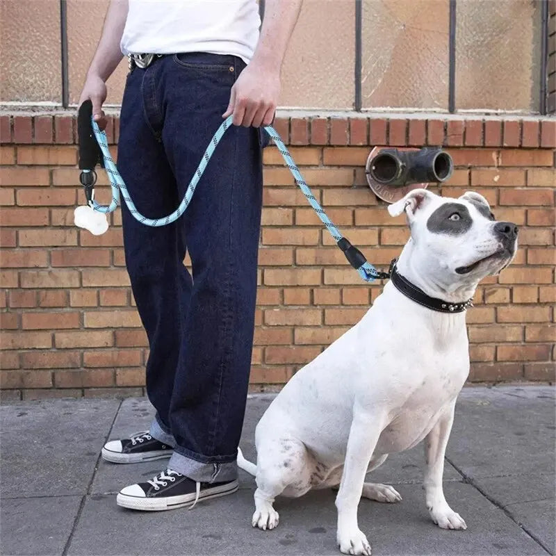 Reflective Dog Leash With Comfortable Padded Handle - Double Heavy