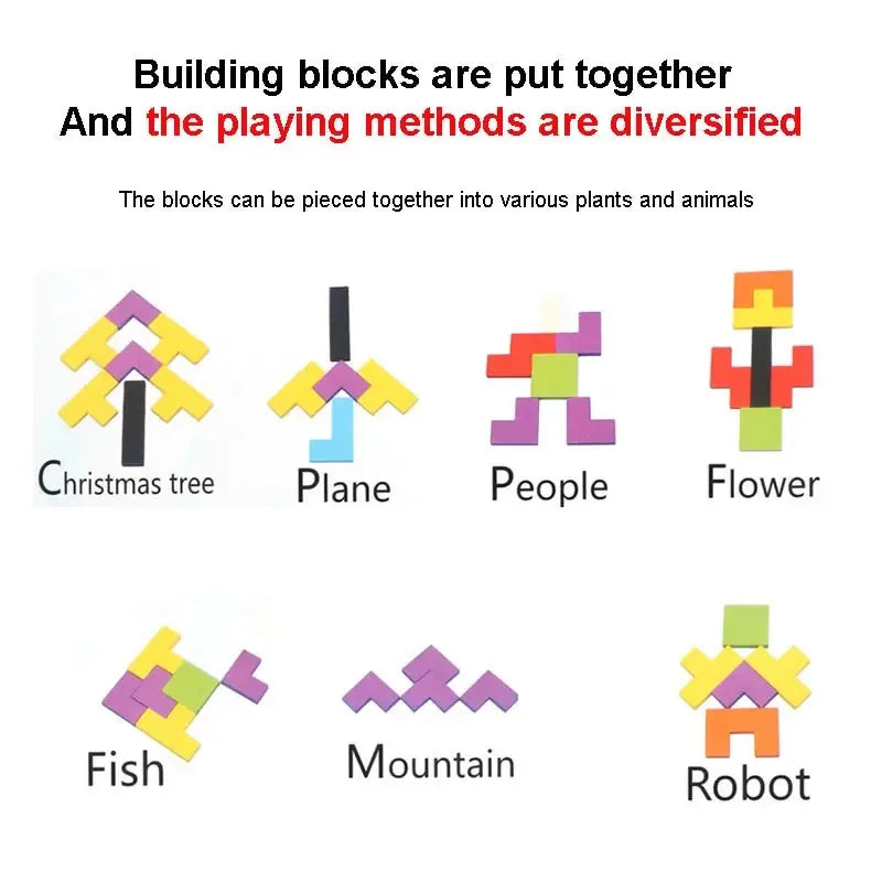 Montessori Wooden Puzzle Toy, Brain Teaser Logic Game for Kids, Early