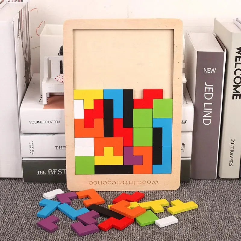Montessori Wooden Puzzle Toy, Brain Teaser Logic Game for Kids, Early