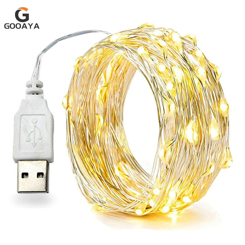 30M 10M Waterproof USB LED Lights String Copper Wire Fairy Garland
